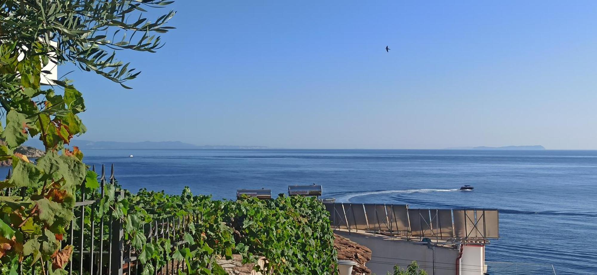 Relaxation Place Hotel Himare Buitenkant foto