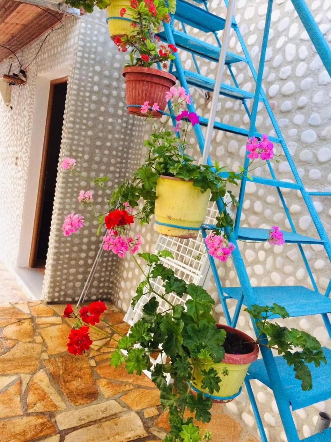 Relaxation Place Hotel Himare Buitenkant foto